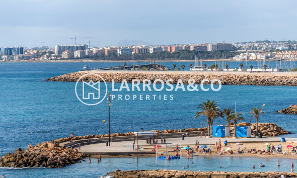 Вторичный рынок - Квартира - Торревьеха - torrevieja