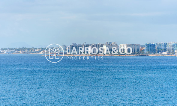 Вторичный рынок - Квартира - Торревьеха - torrevieja