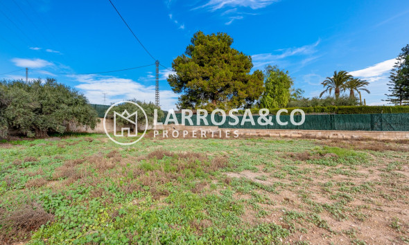 A Vendre - Villa - Elche/Elx