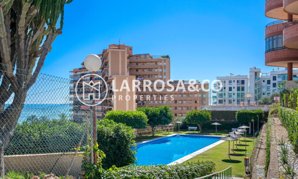 Resale - Apartment - Arenales del sol - Segunda linea playa