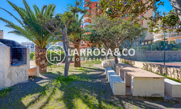 Resale - Apartment - Arenales del sol - Segunda linea playa