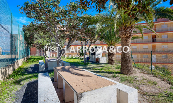 Resale - Apartment - Arenales del sol - Segunda linea playa