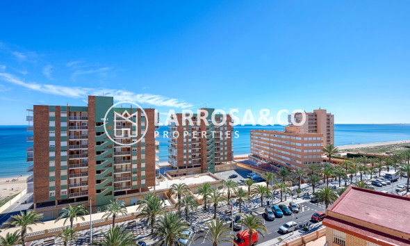 Resale - Apartment - Arenales del sol - Segunda linea playa