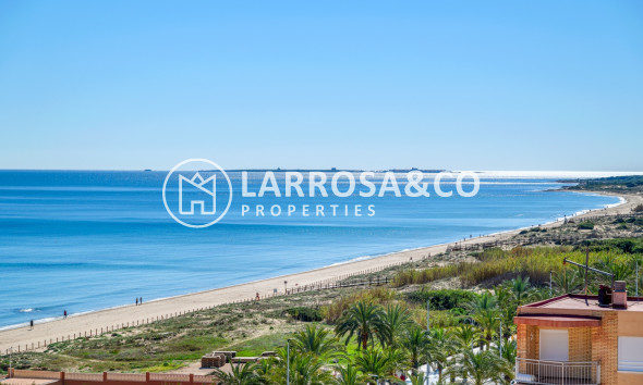 Resale - Apartment - Arenales del sol - Segunda linea playa