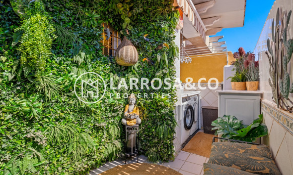 Herverkoop - Penthouse  - Torrevieja - torrevieja