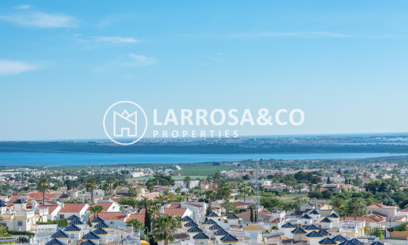 A Vendre - Flat - Ciudad Quesada - Rojales