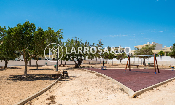 Reventa - Chalet - Los Montesinos - LOS MONTESINOS