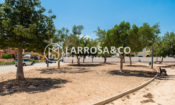 Reventa - Chalet - Los Montesinos - LOS MONTESINOS