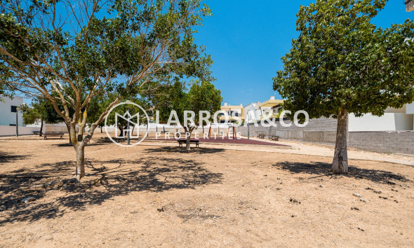 Reventa - Chalet - Los Montesinos - LOS MONTESINOS