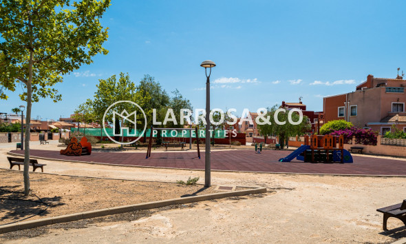 Reventa - Chalet - Los Montesinos - LOS MONTESINOS