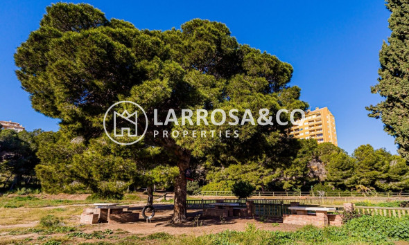 Resale - Bungalow - Dehesa de Campoamor - Costa Blanca