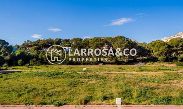 Resale - Bungalow - Dehesa de Campoamor - Costa Blanca