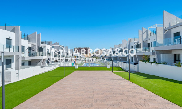 Resale - Apartment - San Miguel de Salinas - Inland