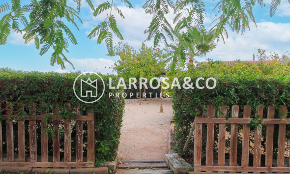 Resale - Detached House/Villa - San Vicente del Raspeig - Inland