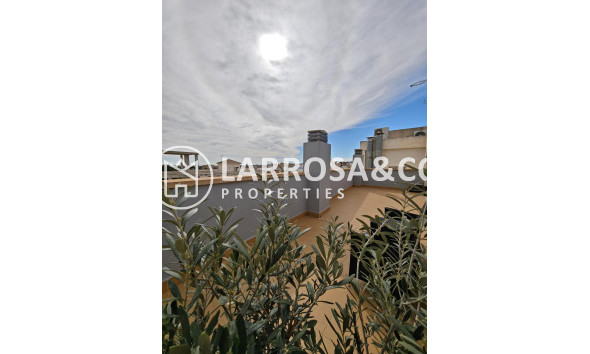 Вторичный рынок - Квартира - Сан Мигель де Салинас - San Miguel de Salinas