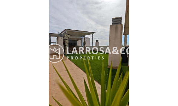 Вторичный рынок - Квартира - Сан Мигель де Салинас - San Miguel de Salinas