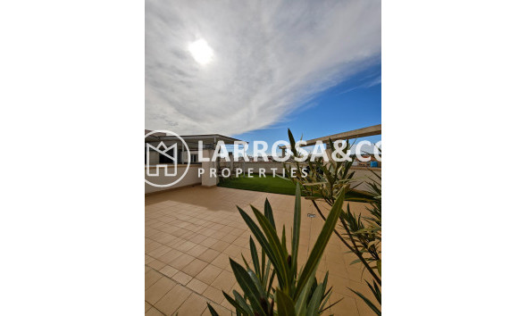 Вторичный рынок - Квартира - Сан Мигель де Салинас - San Miguel de Salinas