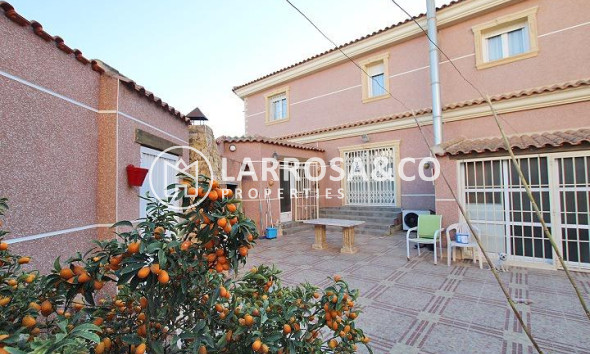 Reventa - Chalet - Formentera del Segura - C- Cooperativa