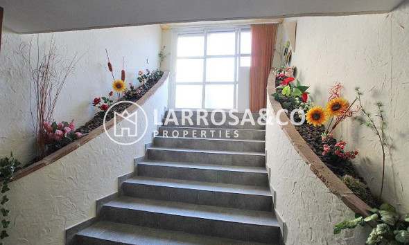 Reventa - Chalet - Formentera del Segura - C- Cooperativa