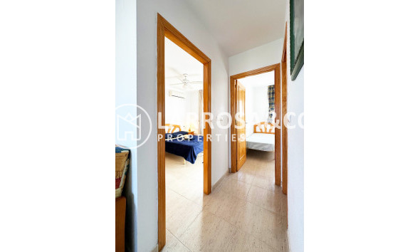 Reventa - Bungalow - San Miguel de Salinas - Inland