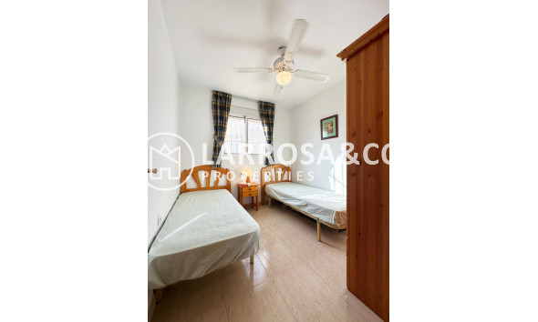 Reventa - Bungalow - San Miguel de Salinas - Inland