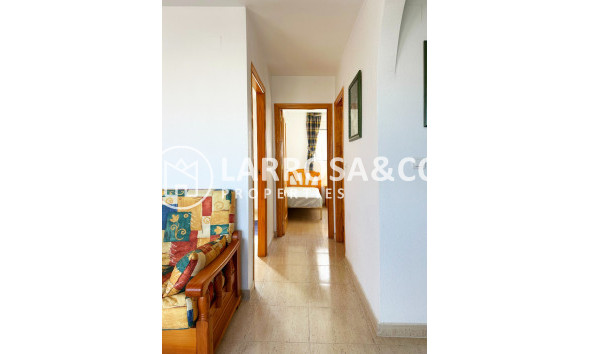 Reventa - Bungalow - San Miguel de Salinas - Inland