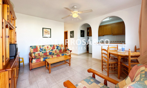 Reventa - Bungalow - San Miguel de Salinas - Inland