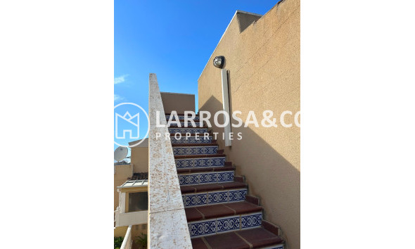 Reventa - Bungalow - San Miguel de Salinas - Inland