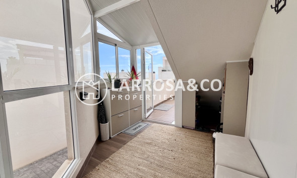 Resale - Apartment - San Miguel de Salinas - Inland