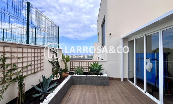 Resale - Apartment - San Miguel de Salinas - Inland