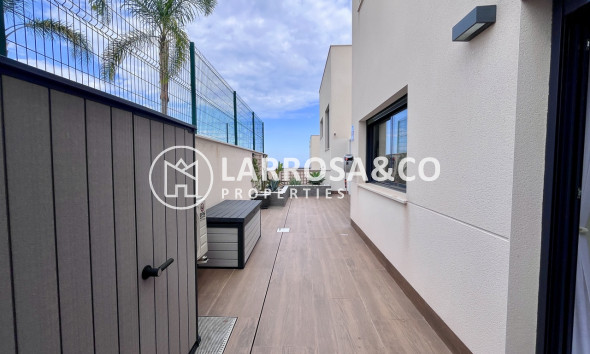 Resale - Apartment - San Miguel de Salinas - Inland