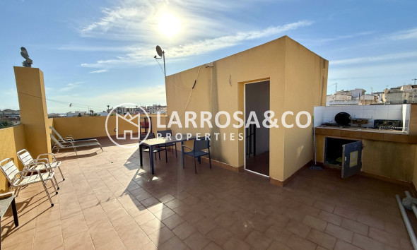 Resale - Apartment - San Miguel de Salinas - Inland