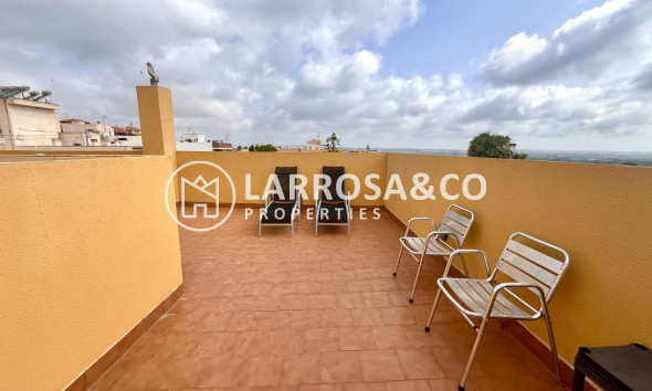 Resale - Apartment - San Miguel de Salinas - Inland