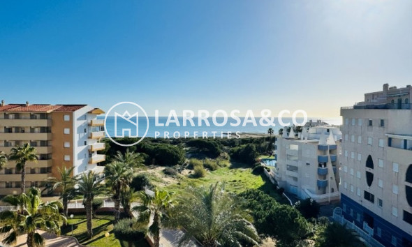 Вторичный рынок - Пентхаус - La Mata - Costa Blanca