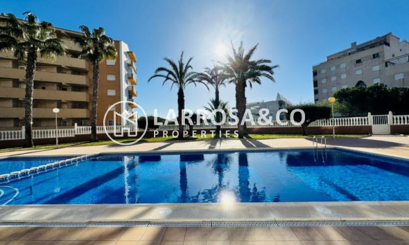 Вторичный рынок - Пентхаус - La Mata - Costa Blanca