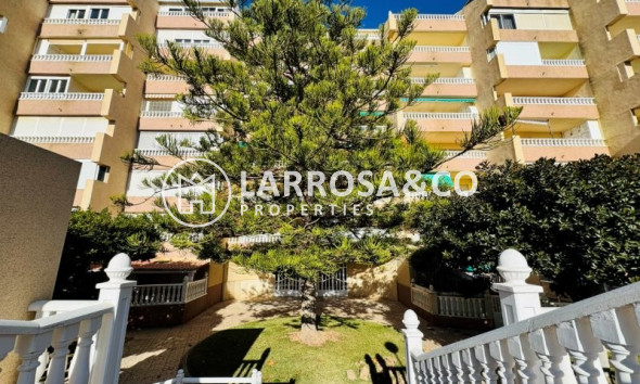 Вторичный рынок - Пентхаус - La Mata - Costa Blanca