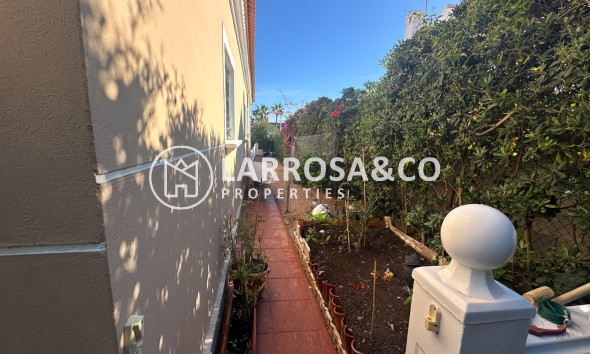 Resale - Detached House/Villa - La Mata - Costa Blanca