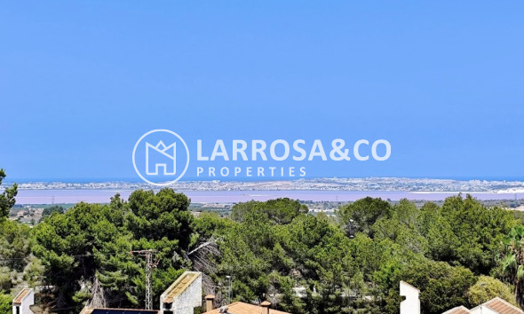 Вторичный рынок - Дом - Сан Мигель де Салинас - Inland