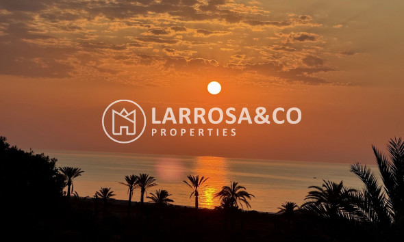 Herverkoop - Penthouse  - San Miguel de Salinas - Inland