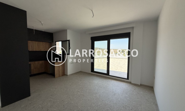 Herverkoop - Penthouse  - San Miguel de Salinas - Inland