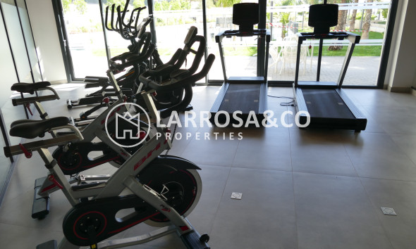 Resale - Apartment - Dehesa de Campoamor - Costa Blanca