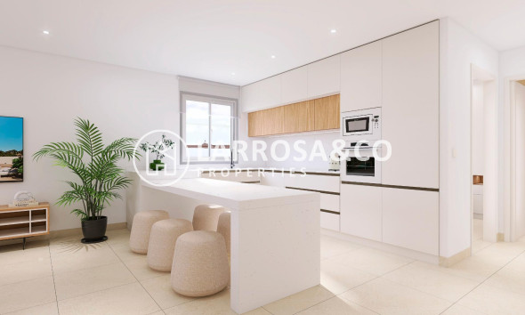 Nouvelle Construction - Semi-detached house - Bigastro - pueblo