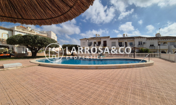 Resale - Apartment - San Miguel de Salinas - Inland