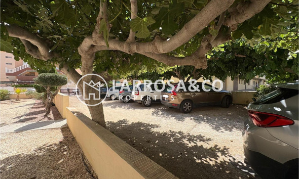 Resale - Apartment - Torrevieja - La Mata