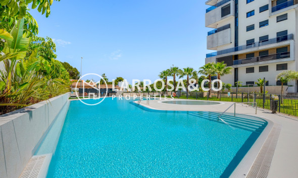 Resale - Apartment - Dehesa de Campoamor - Costa Blanca