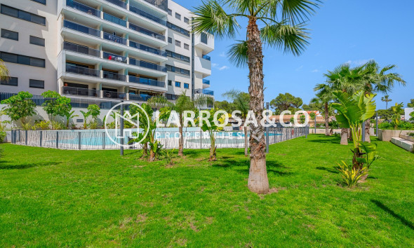 Resale - Apartment - Dehesa de Campoamor - Costa Blanca