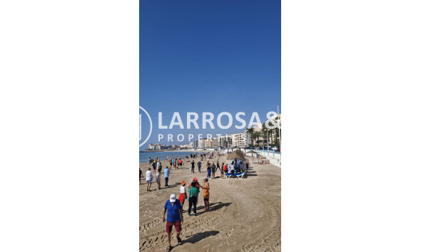 Resale - Apartment - Torrevieja - Playa de los locos