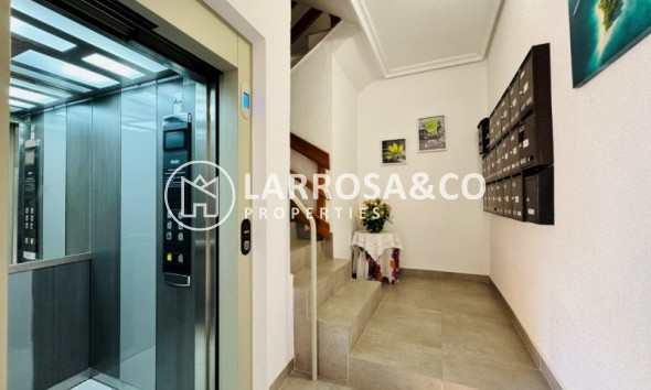 Resale - Apartment - La Mata - Costa Blanca
