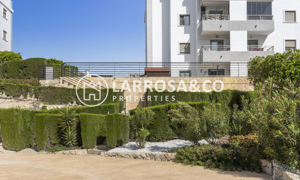 Resale - Apartment - San Miguel de Salinas - Inland