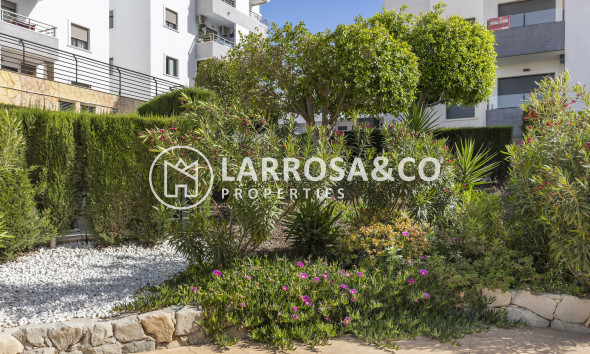 Resale - Apartment - San Miguel de Salinas - Inland